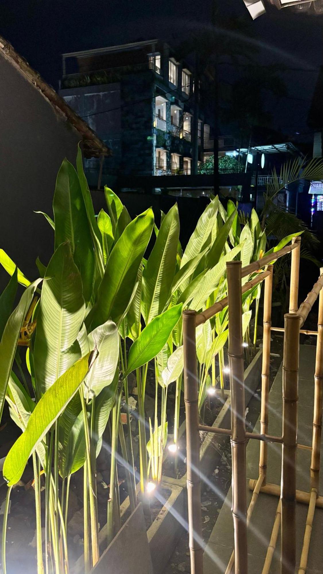 Vibo * Seminyak (Bali)